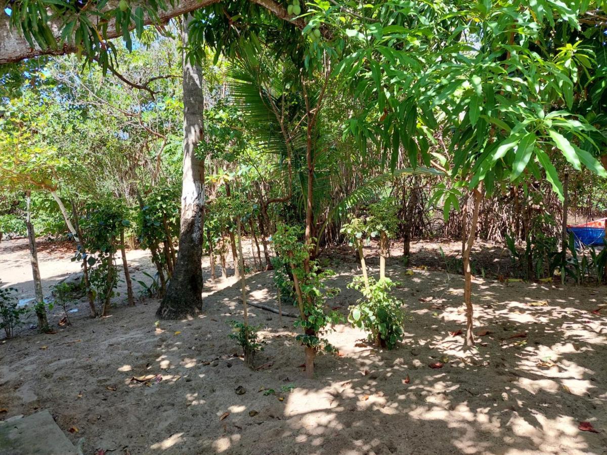 Cabana Playa Cambiaso Bed and Breakfast Πουέρτο Πλάτα Εξωτερικό φωτογραφία